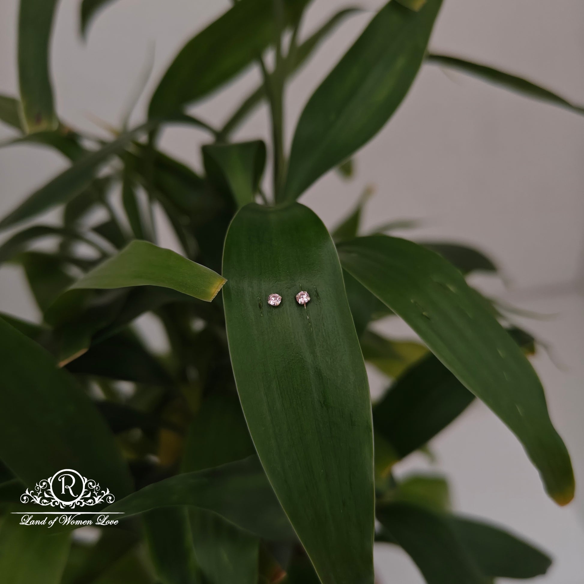 earrings 92.5 silver simple and cute earrings - rchs46-04 92.5 silver ramala jewelry / ramala collections