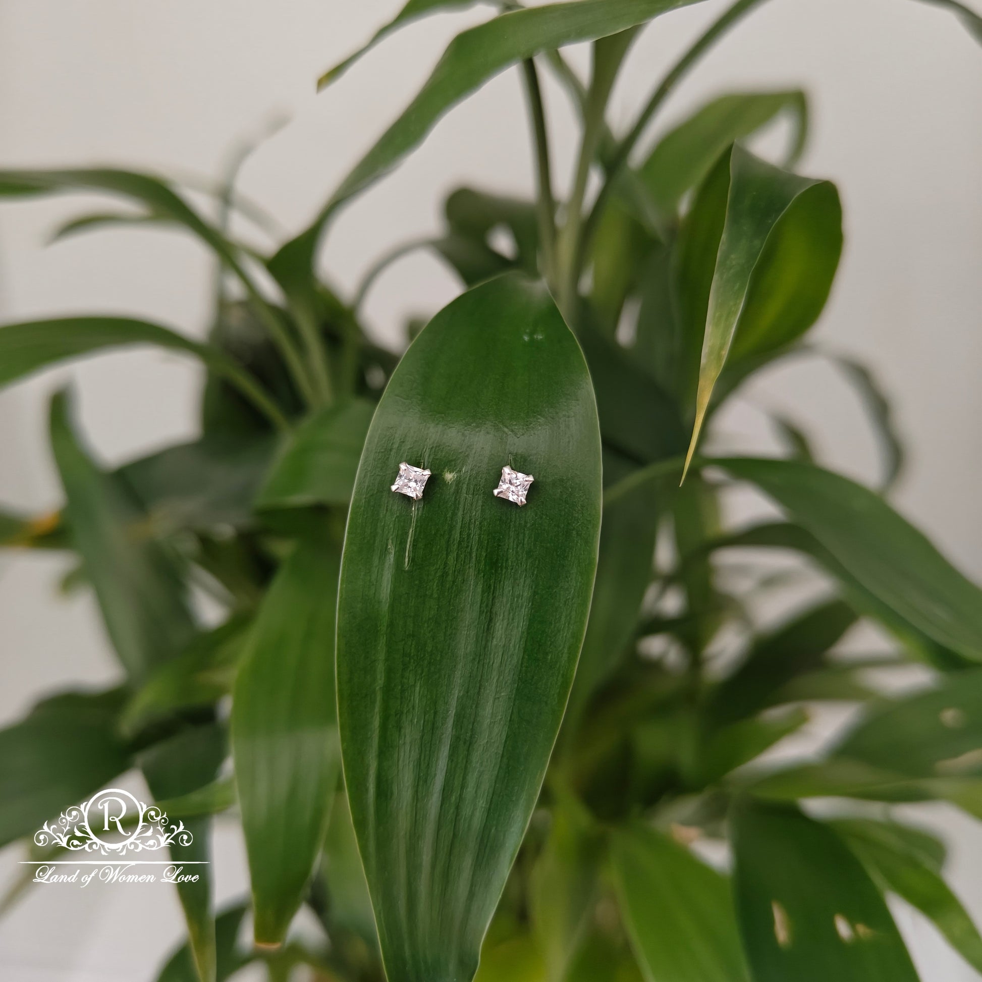 earrings 92.5 silver simple and cute earrings -rchs43-03 92.5 silver ramala jewelry / ramala collections