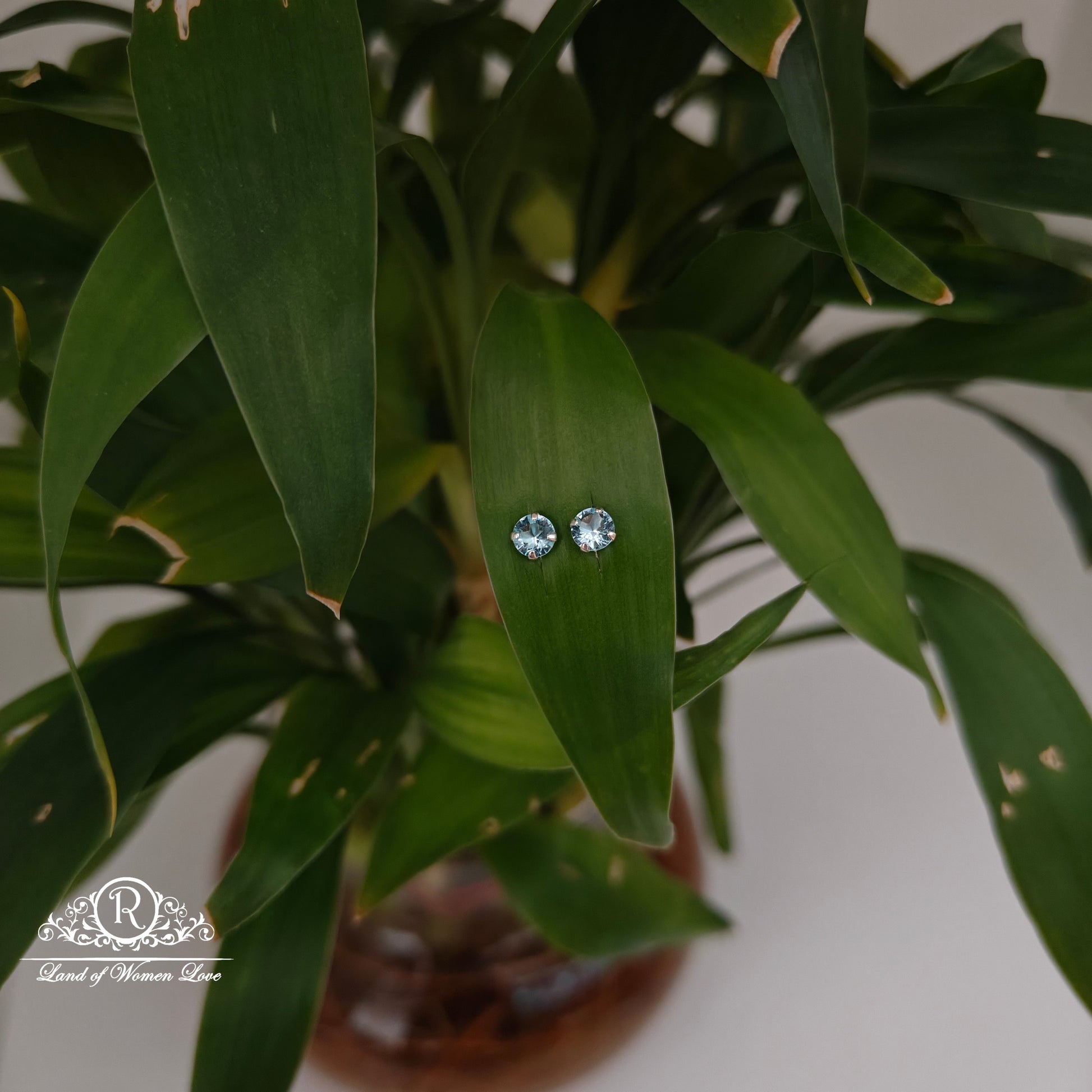 earrings 92.5 silver simple and cute earrings - rchs49-03 92.5 silver ramala jewelry / ramala collections