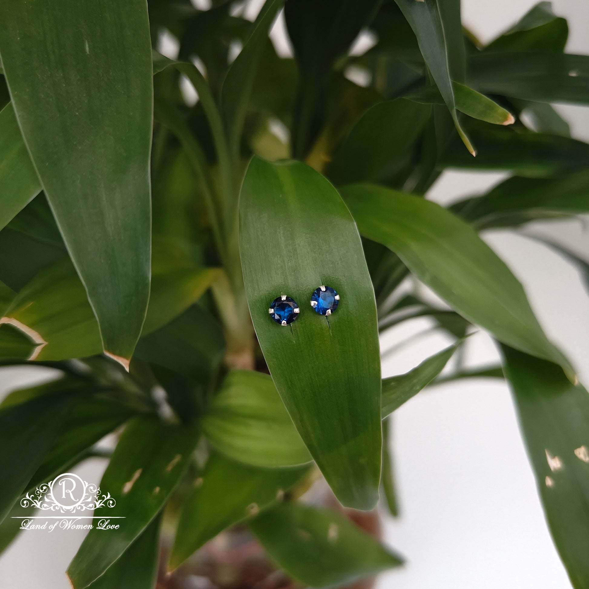 earrings 92.5 silver simple and cute earrings - rchs49-02 92.5 silver ramala jewelry / ramala collections