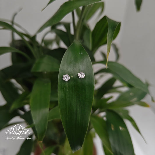 earrings 92.5 silver simple and cute earrings - rchs42-02 92.5 silver ramala jewelry / ramala collections