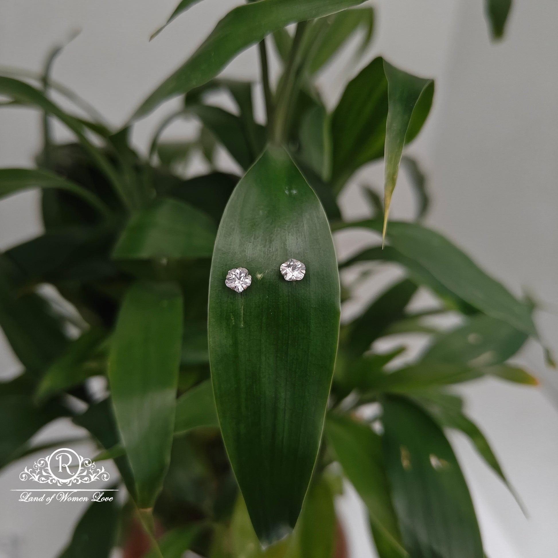 earrings 92.5 silver simple and cute earrings - rchs42-02 92.5 silver ramala jewelry / ramala collections