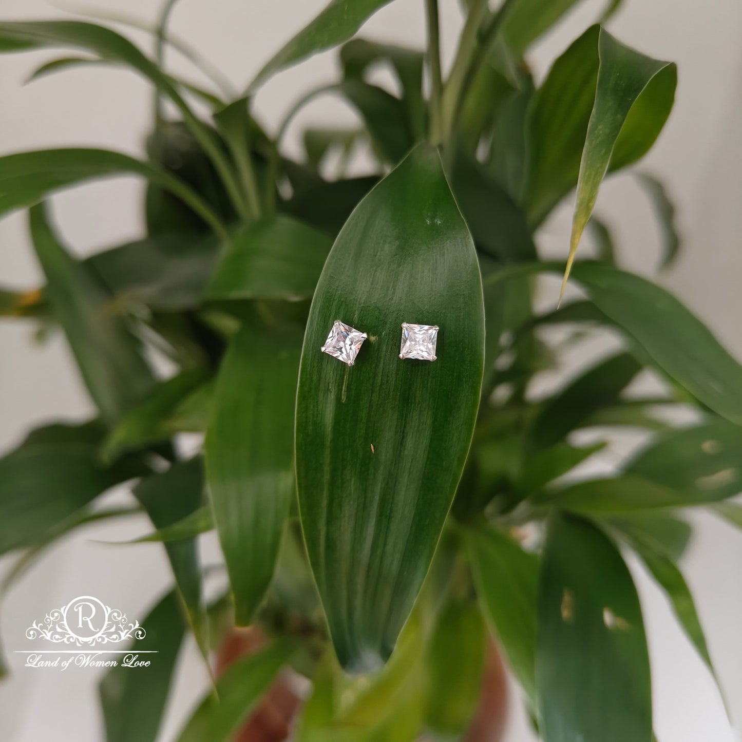 earrings 92.5 silver simple and cute earrings - rchs43-02 92.5 silver ramala jewelry / ramala collections