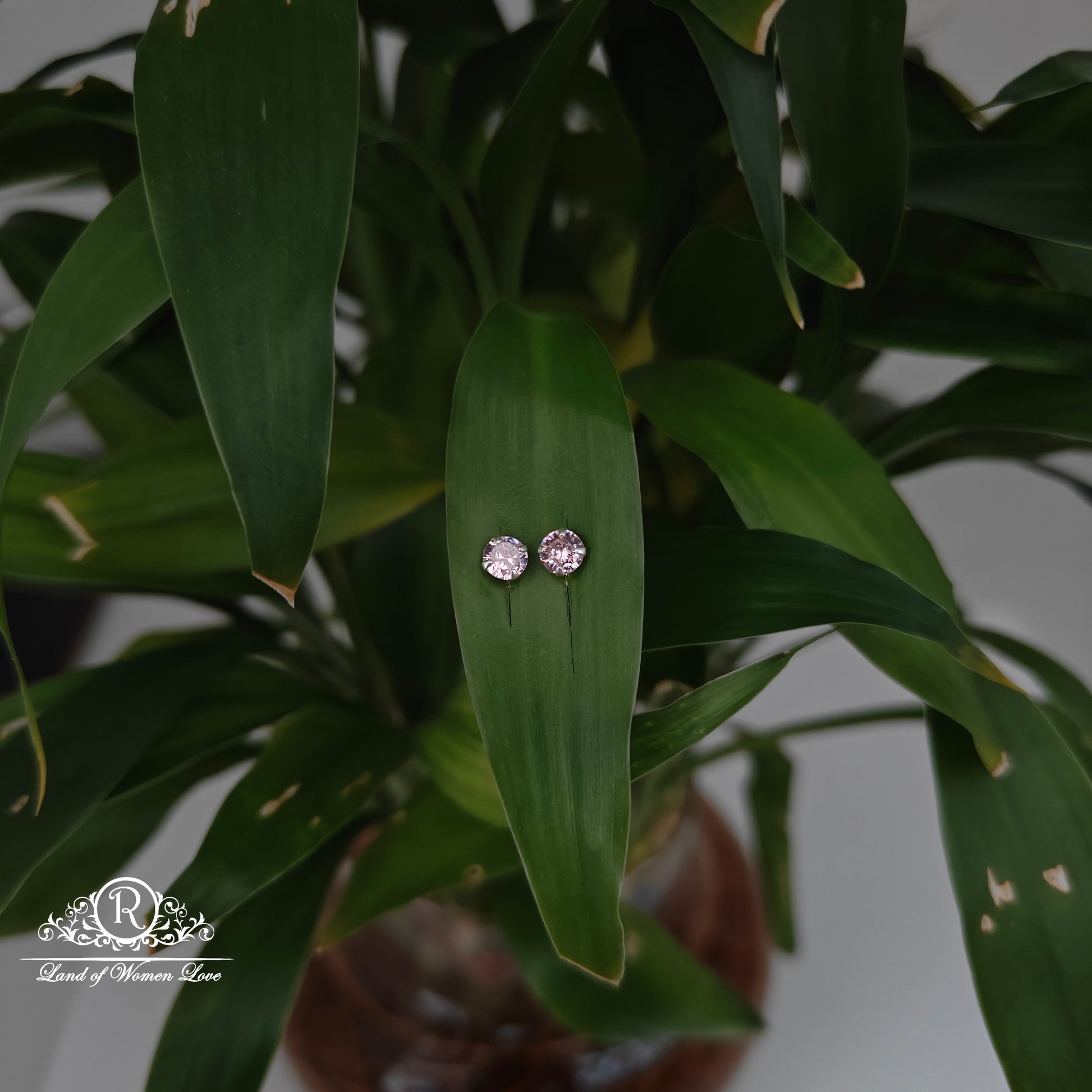 earrings 92.5 silver simple and cute earrings - rchs49-06 92.5 silver ramala jewelry / ramala collections