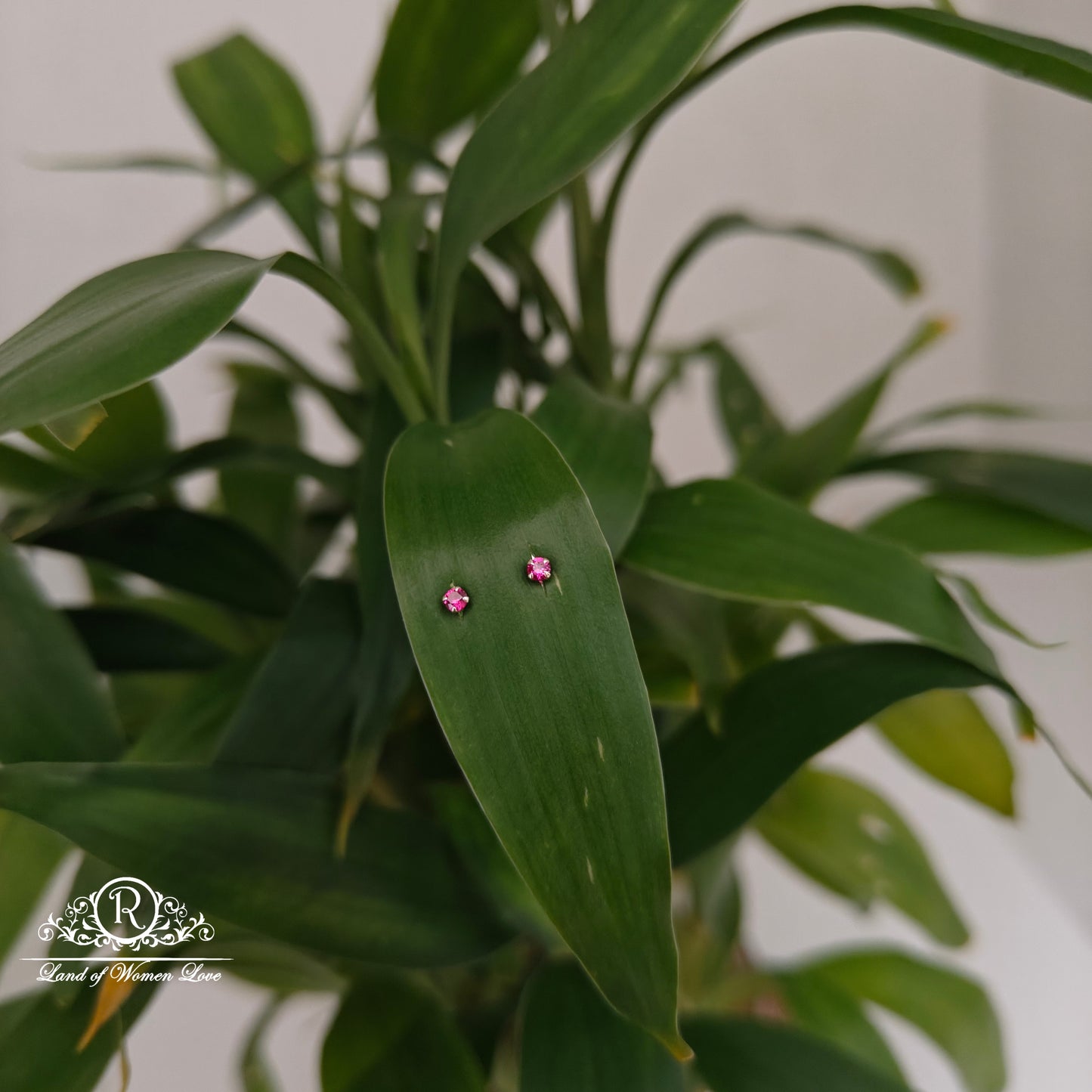 earrings 92.5 silver simple and cute earrings - rchs46 92.5 silver ramala jewelry / ramala collections