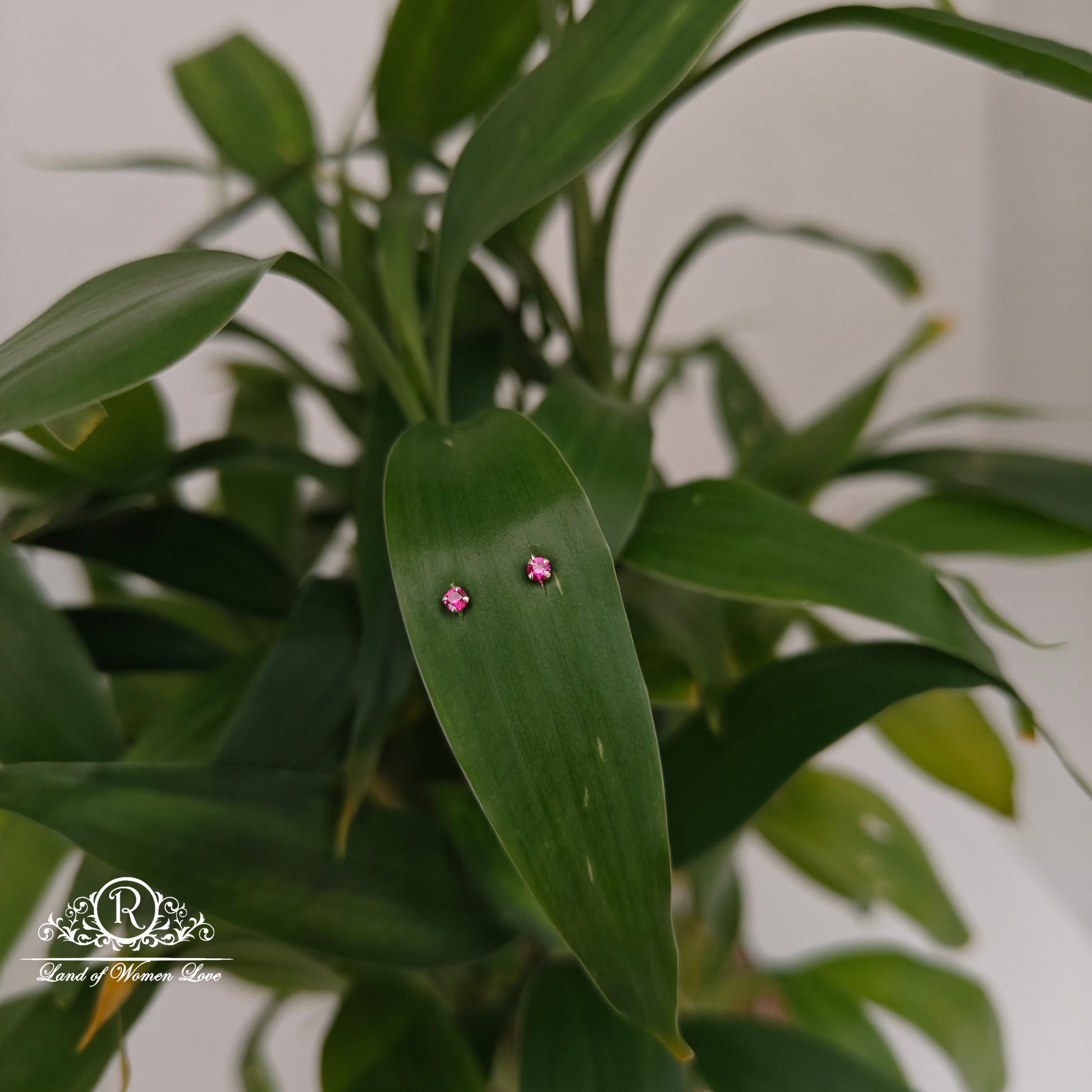 earrings 92.5 silver simple and cute earrings - rchs46 92.5 silver ramala jewelry / ramala collections