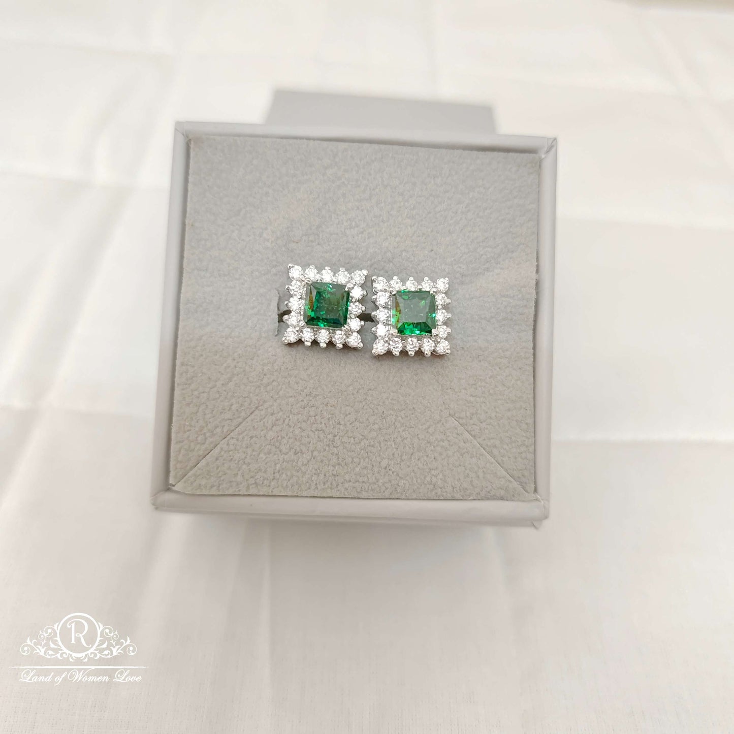 Silver CZ- Stones Earrings-RCES49