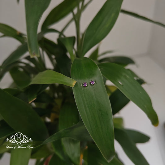 earrings 92.5 silver simple and cute earrings - rchs47-02 92.5 silver ramala jewelry / ramala collections