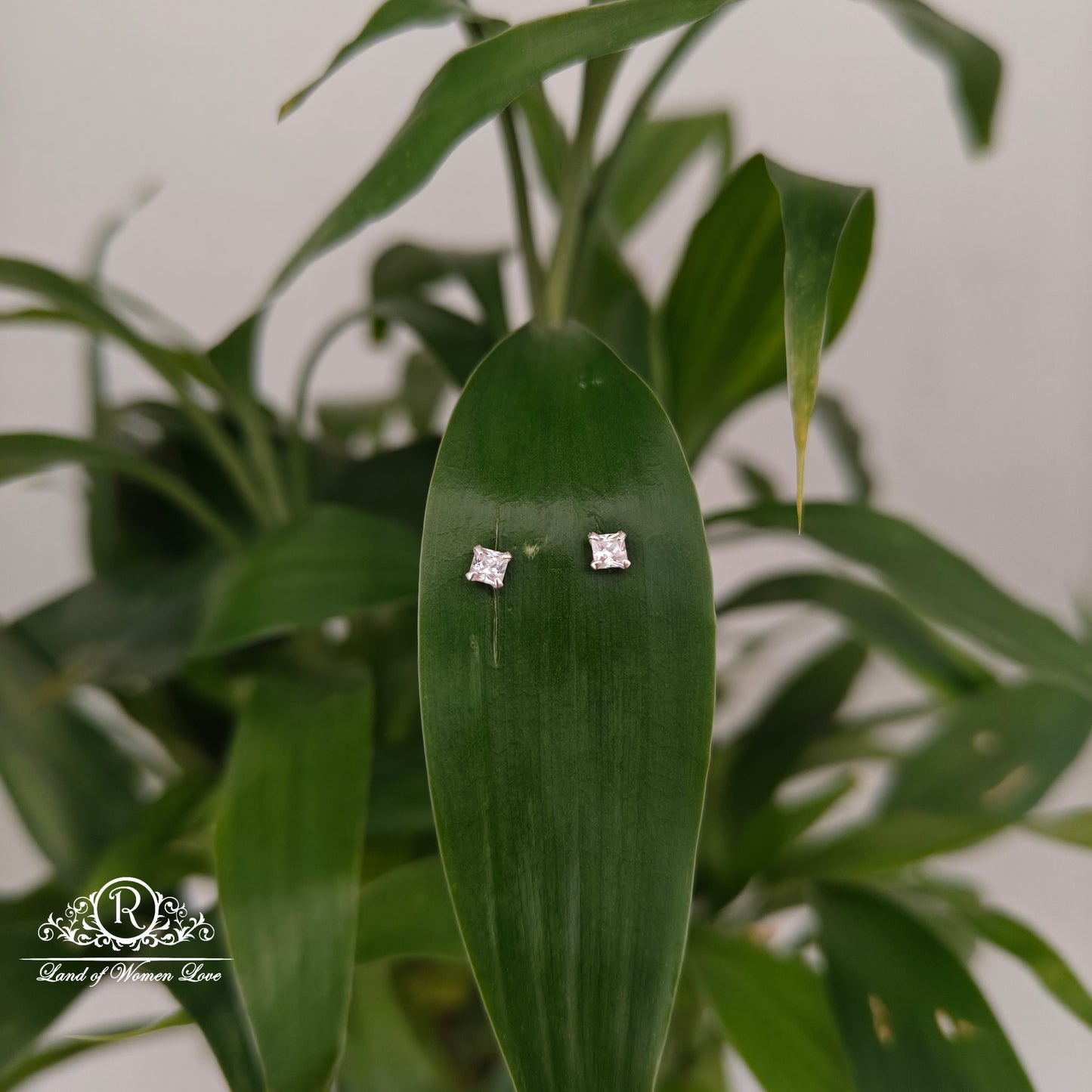 earrings 92.5 silver simple and cute earrings - rchs43-04 92.5 silver ramala jewelry / ramala collections