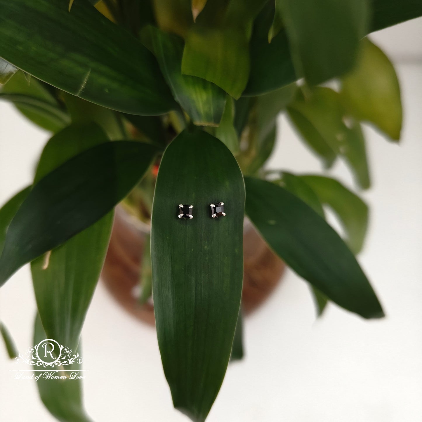 earrings 92.5 silver simple and cute earrings - rchs52-1 92.5 silver ramala jewelry / ramala collections