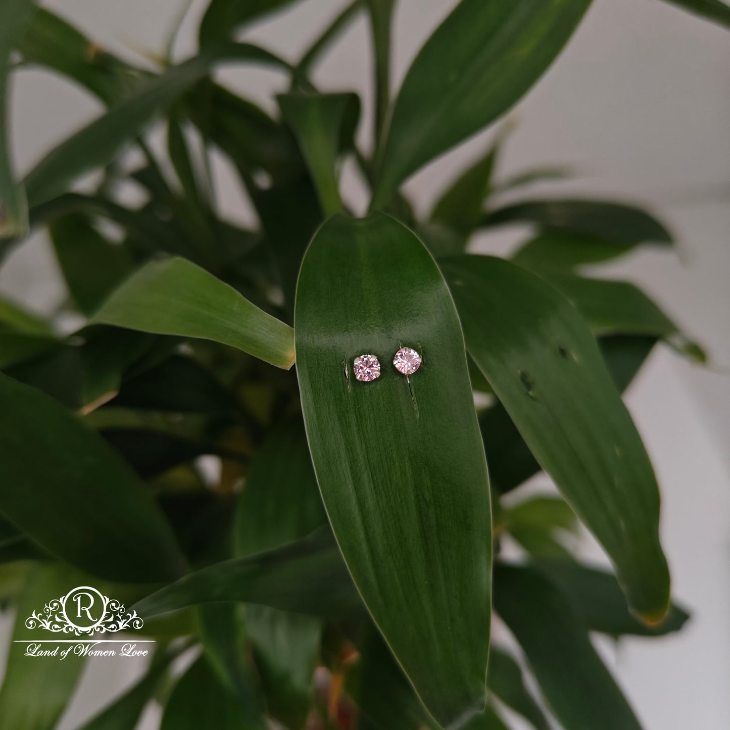 earrings 92.5 silver simple and cute earrings - rchs48 92.5 silver ramala jewelry / ramala collections