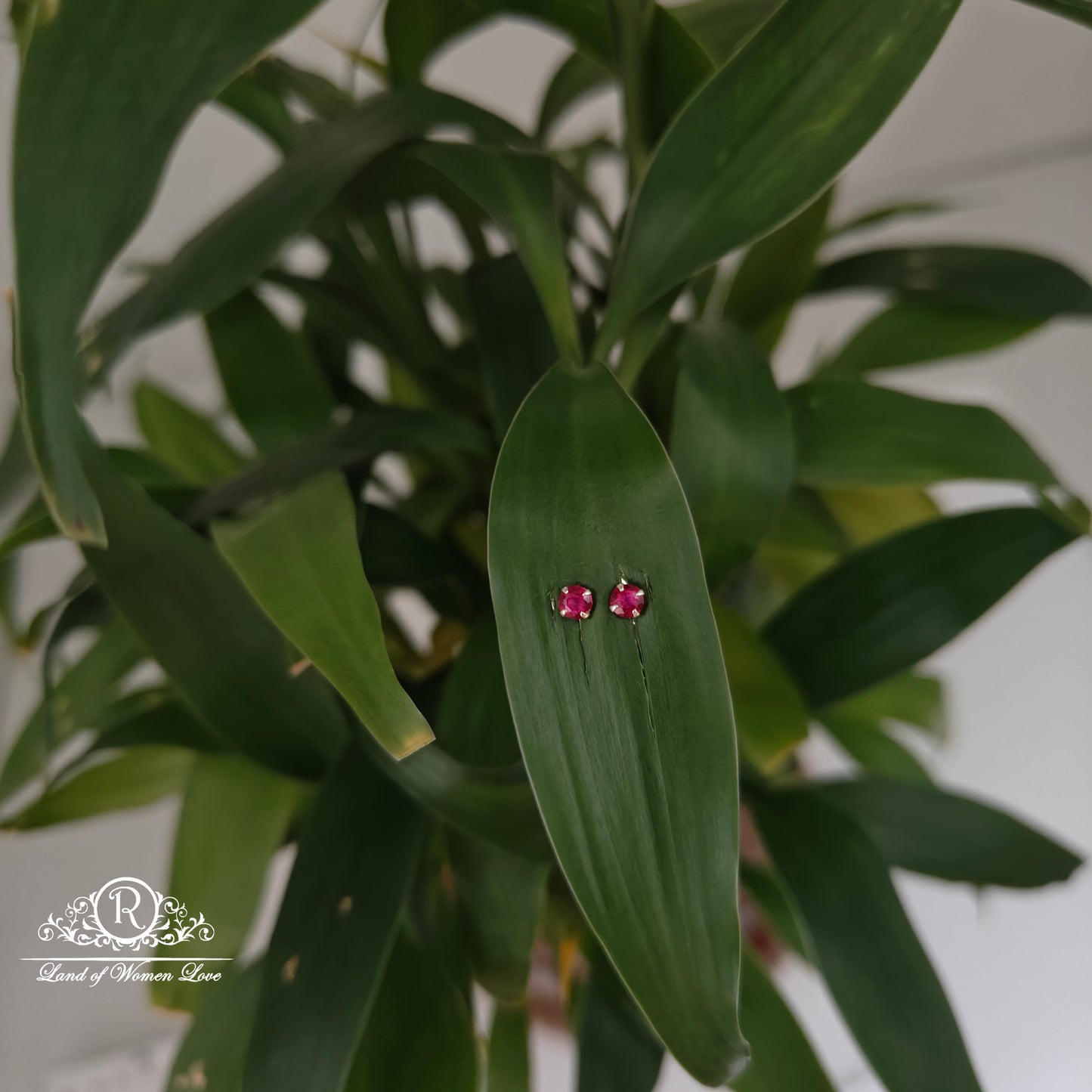 earrings 92.5 silver simple and cute earrings - rchs48-04 92.5 silver ramala jewelry / ramala collections