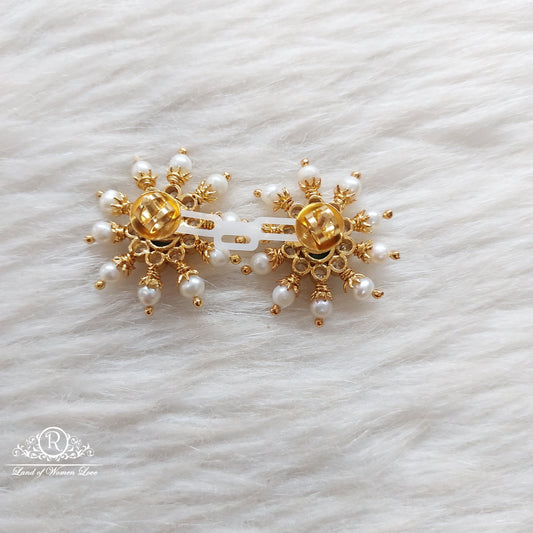 Silver Earrings-S127