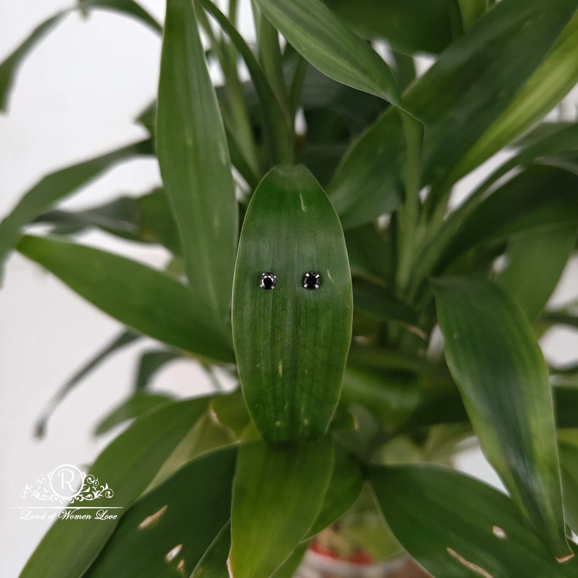 earrings 92.5 silver simple and cute earrings - rchs51-1 92.5 silver ramala jewelry / ramala collections