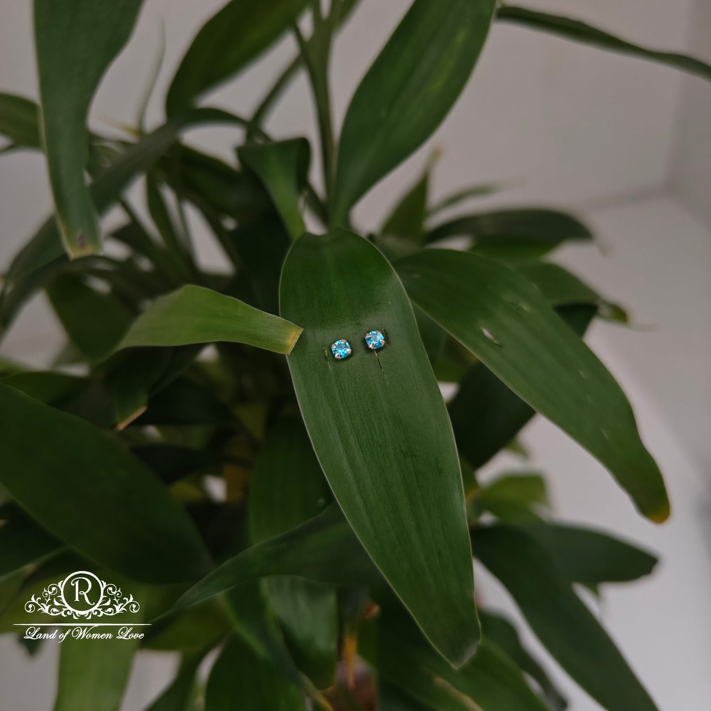 earrings 92.5 silver simple and cute earrings - rchs47-01 92.5 silver ramala jewelry / ramala collections