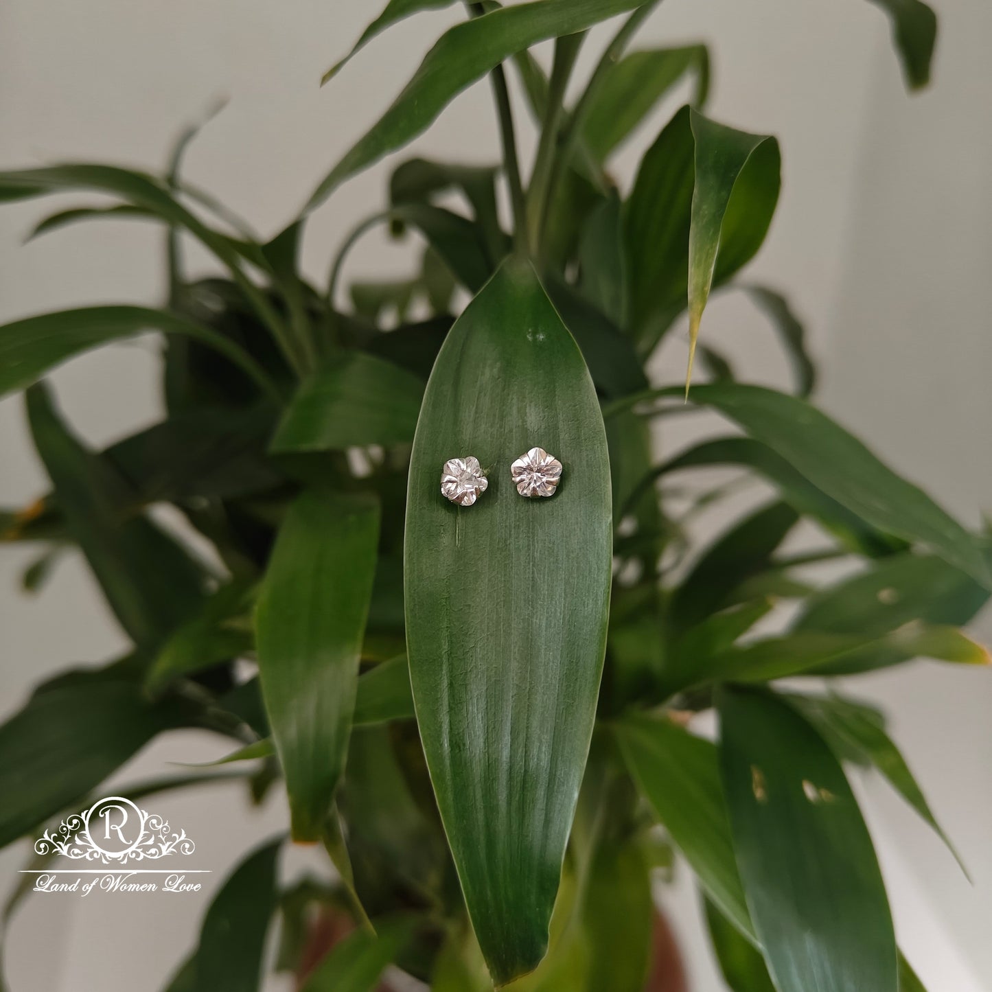 earrings 92.5 silver simple and cute earrings - rchs42-01 92.5 silver ramala jewelry / ramala collections