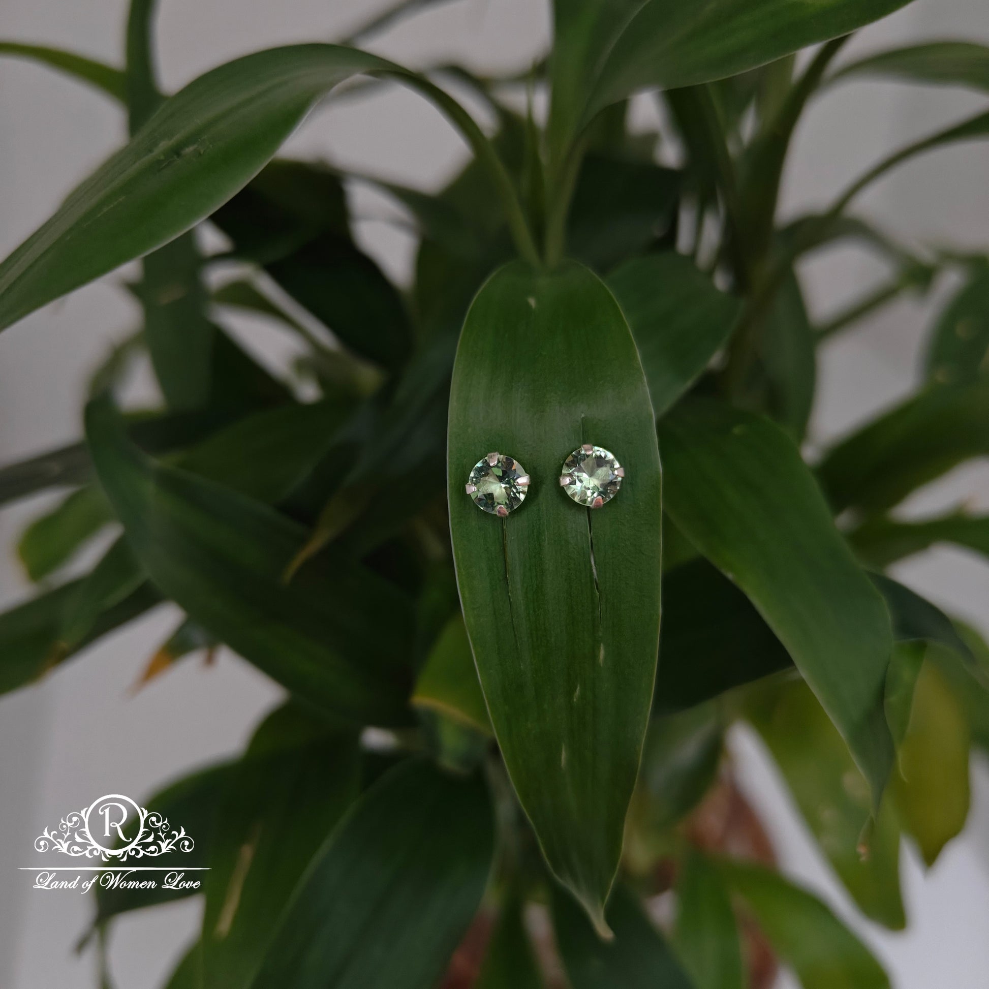 earrings 92.5 silver simple and cute earrings - rchs50-01 92.5 silver ramala jewelry / ramala collections