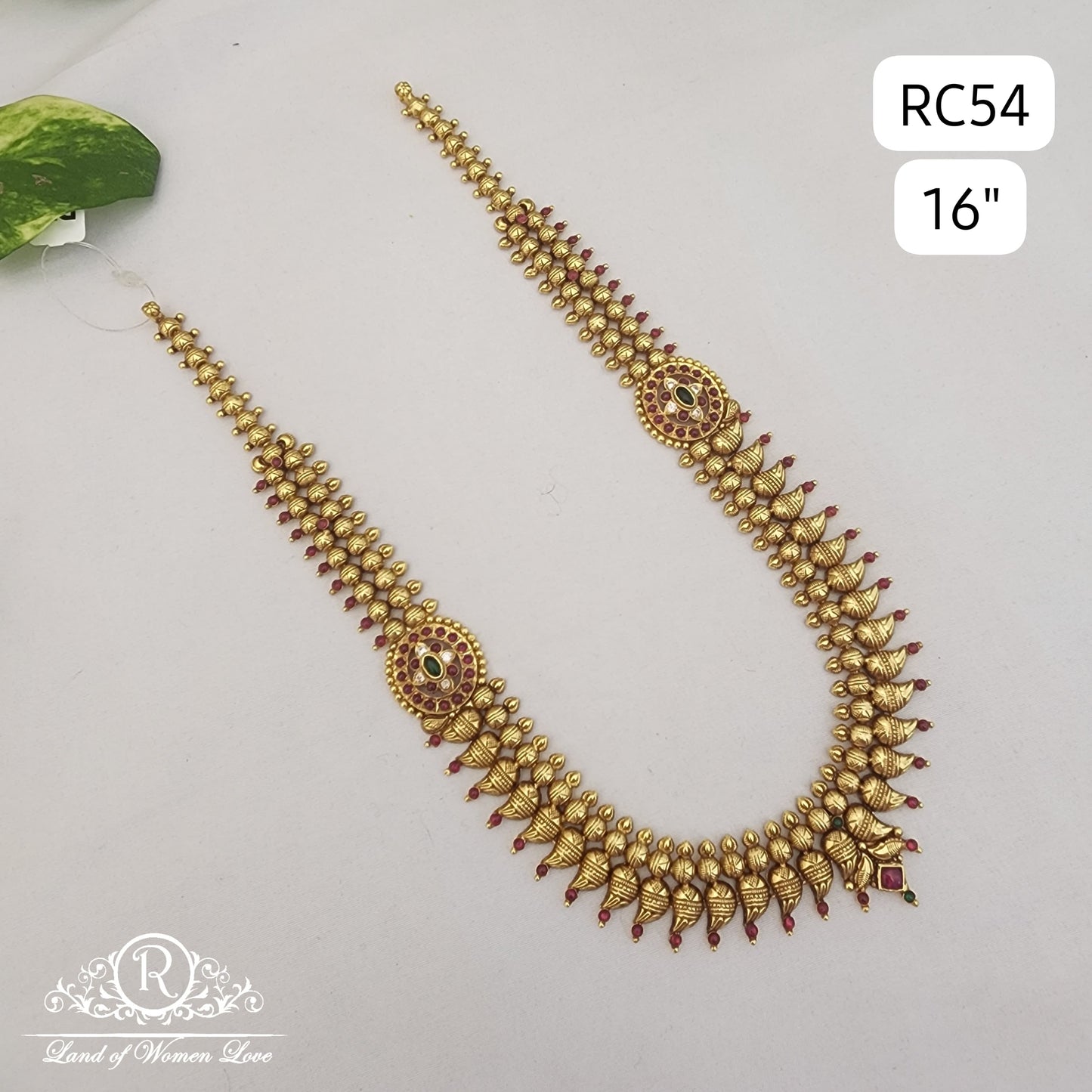 Silver mango haram-RCGH09