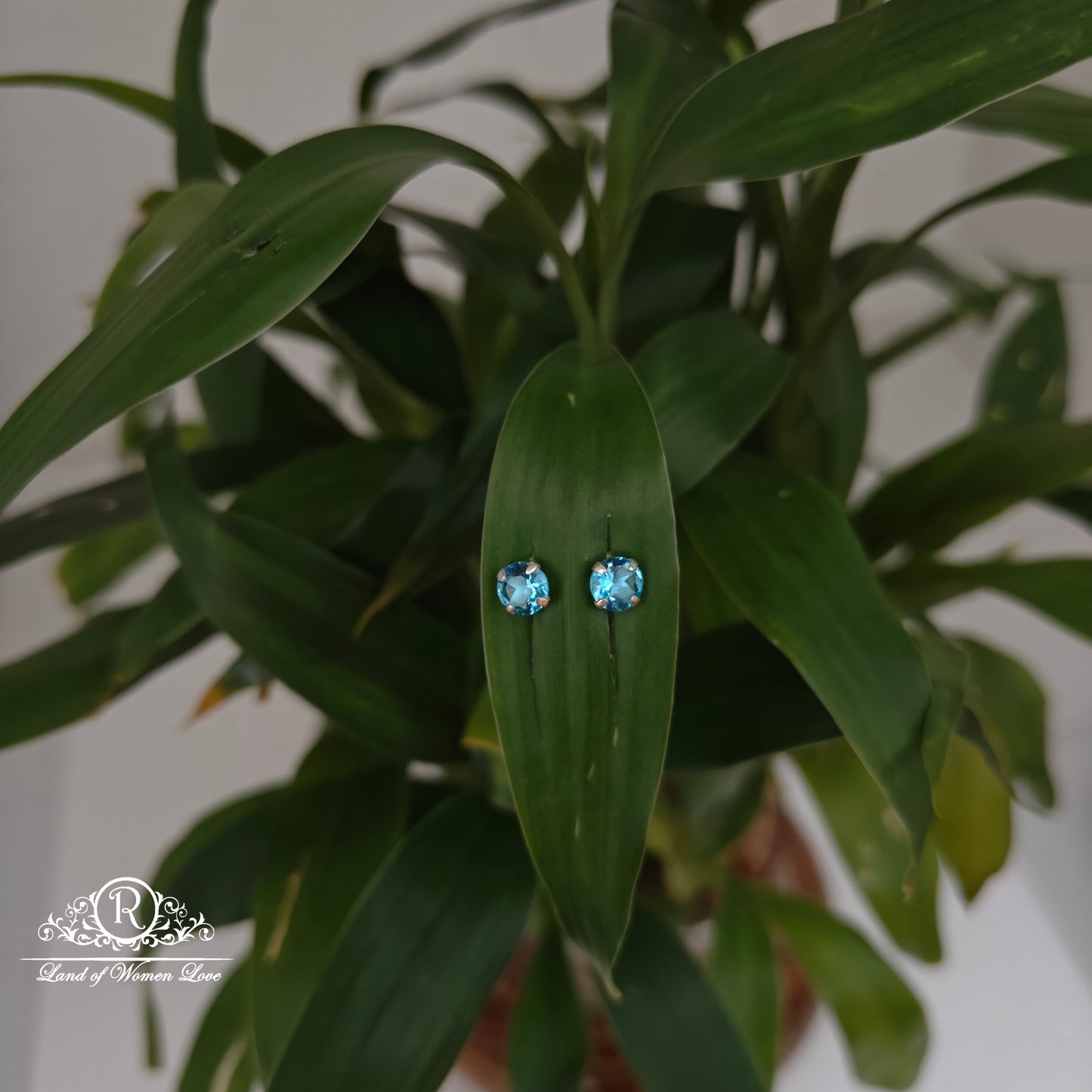 earrings 92.5 silver simple and cute earrings - rchs50-02 92.5 silver ramala jewelry / ramala collections