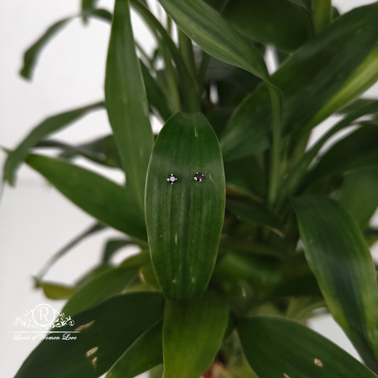 earrings 92.5 silver simple and cute earrings - rchs51 92.5 silver ramala jewelry / ramala collections