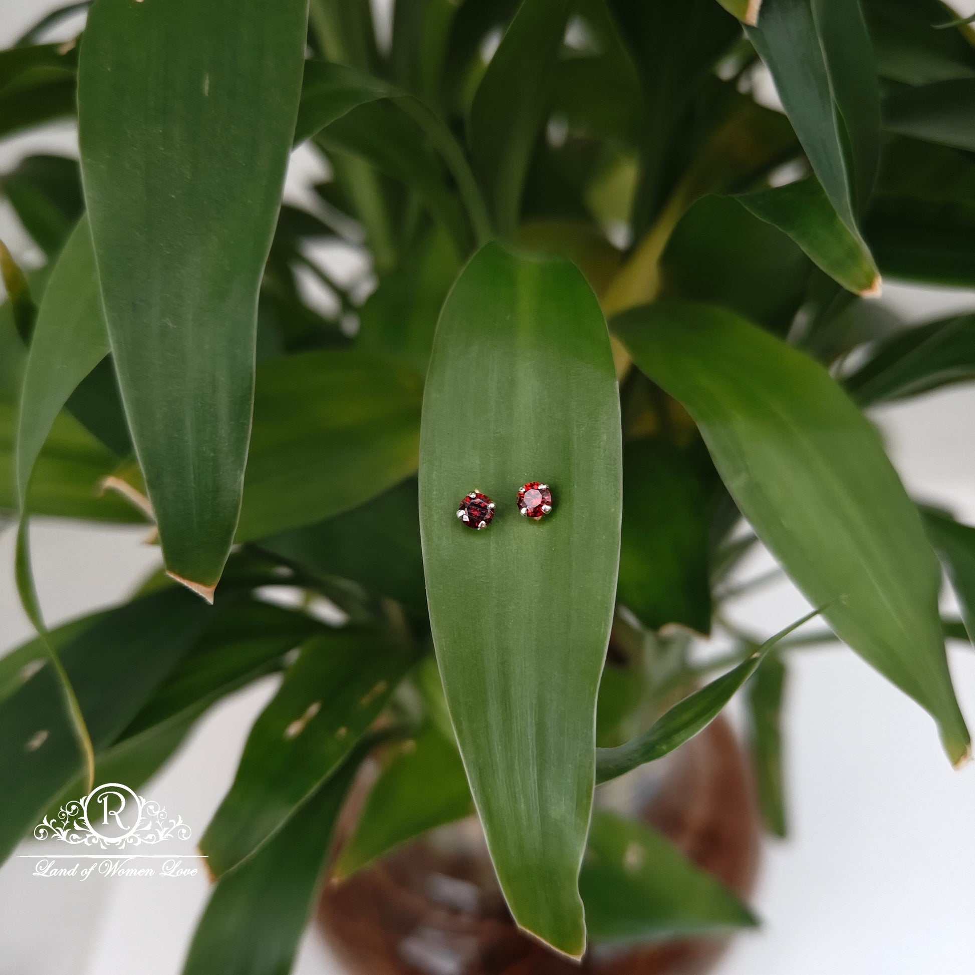 earrings 92.5 silver simple and cute earrings - rchs48-05 92.5 silver ramala jewelry / ramala collections