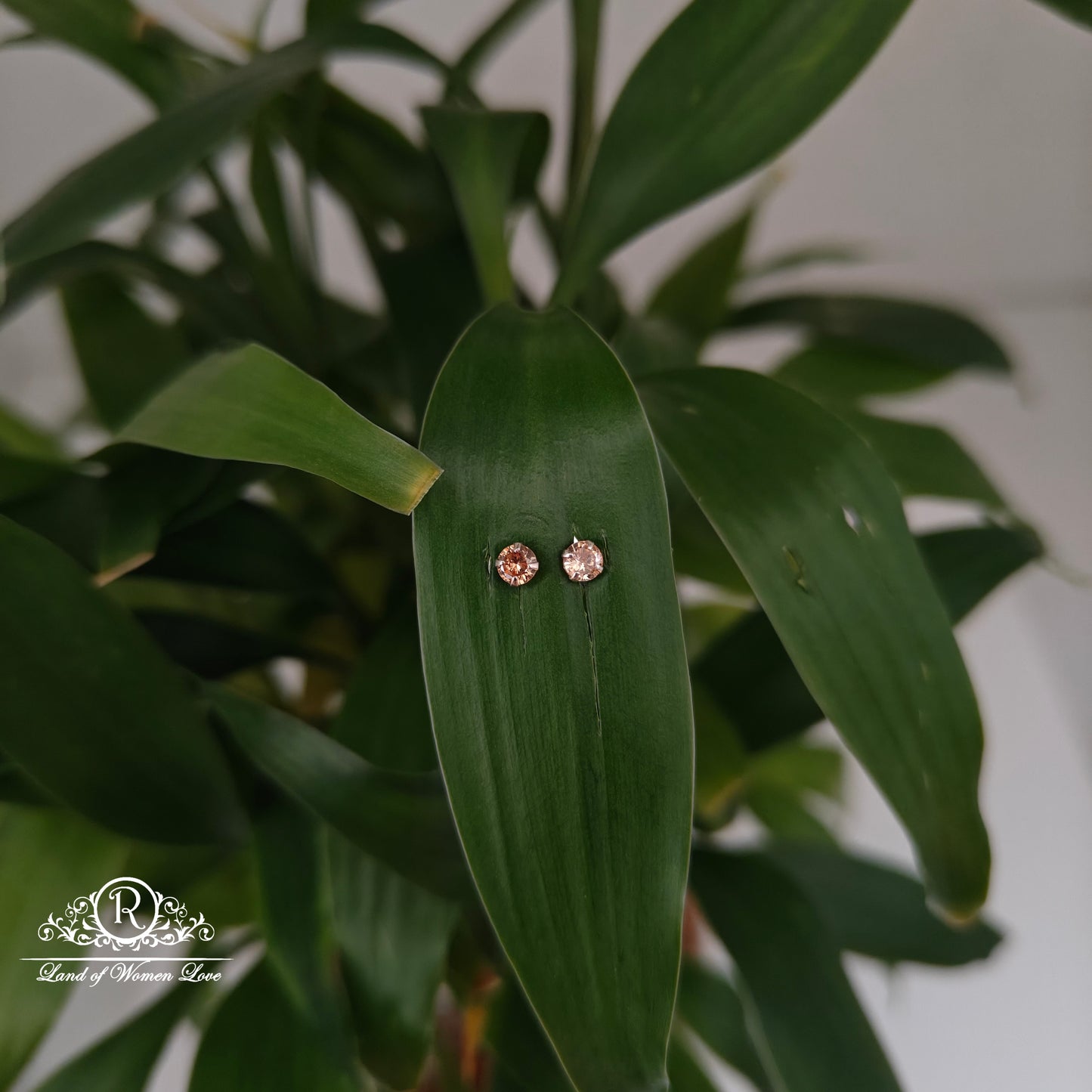 earrings 92.5 silver simple and cute earrings - rchs48-02 92.5 silver ramala jewelry / ramala collections