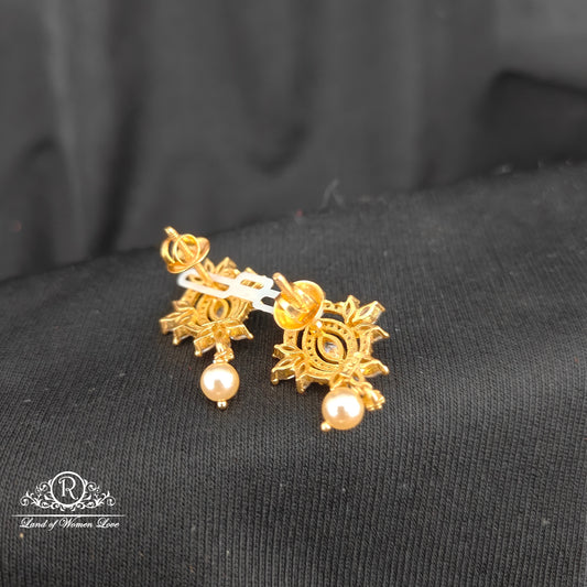 Silver earrings -RCM388