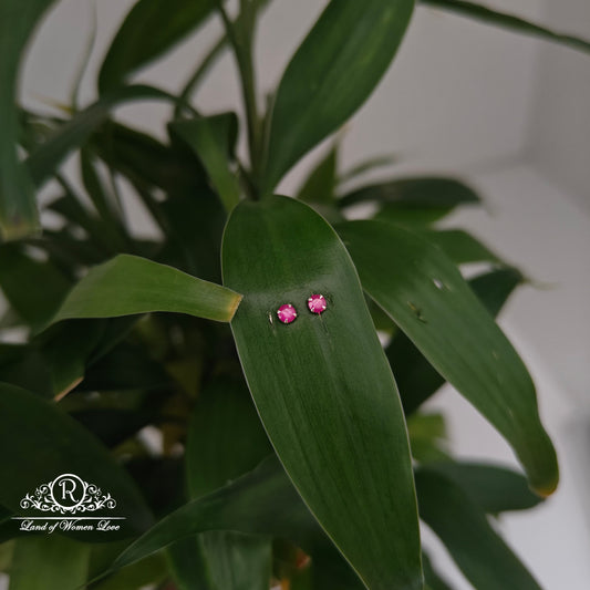 earrings 92.5 silver simple and cute earrings - rchs47-03 92.5 silver ramala jewelry / ramala collections