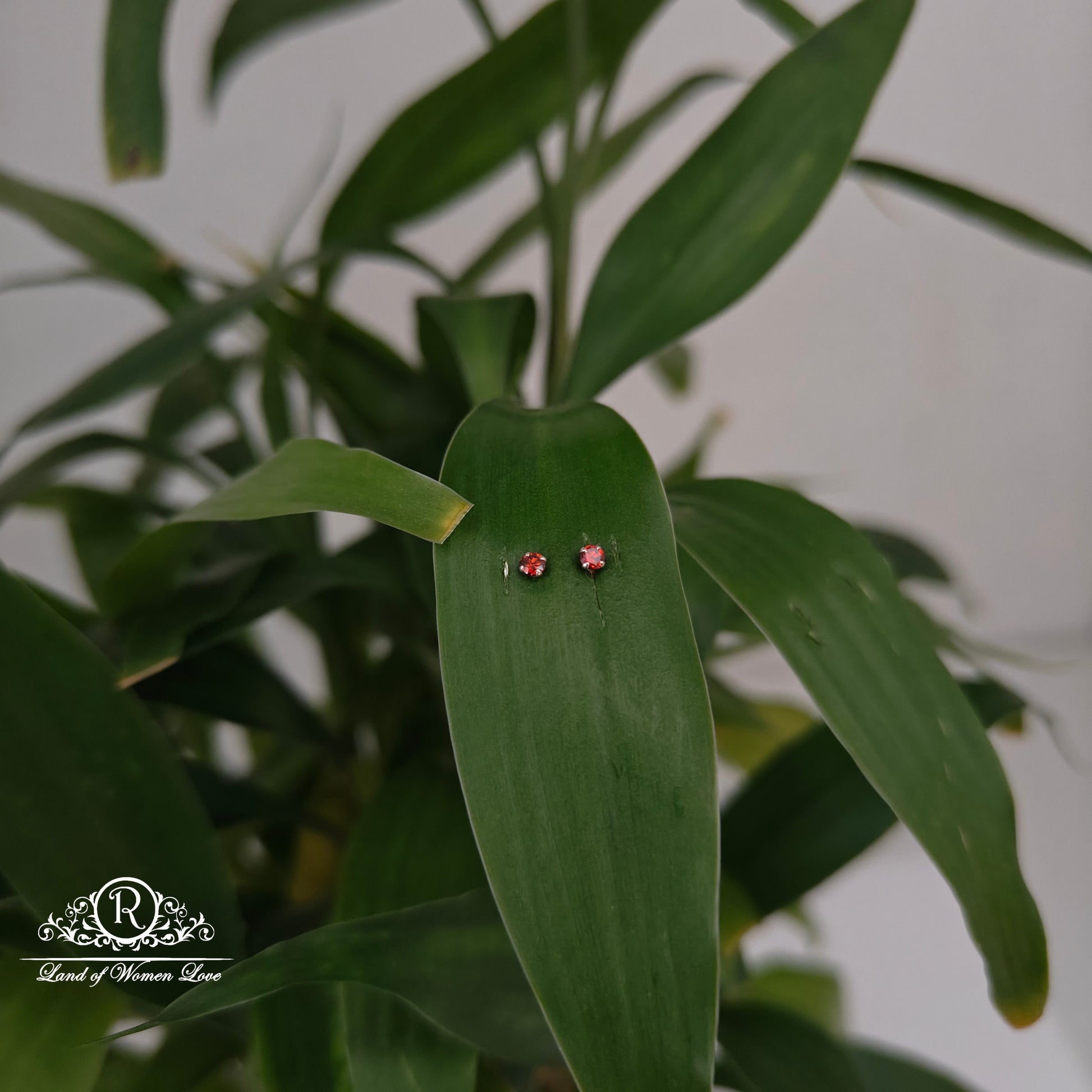 earrings 92.5 silver simple and cute earrings - rchs47 92.5 silver ramala jewelry / ramala collections