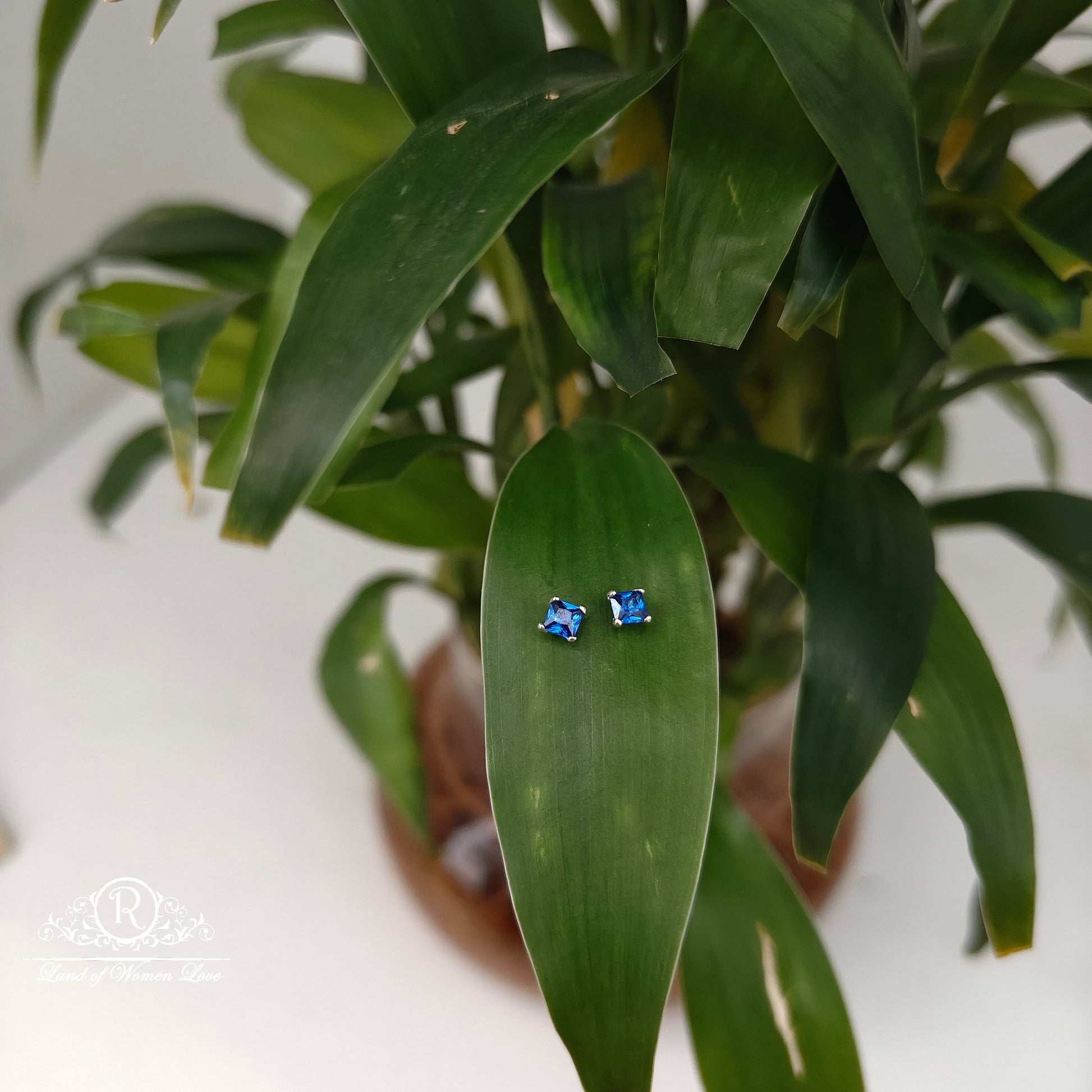 earrings 92.5 silver simple and cute earrings -rchs45 92.5 silver ramala jewelry / ramala collections