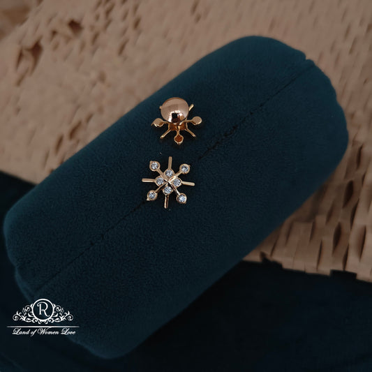 92.5 silver simple and Cute earrings- RC061M422