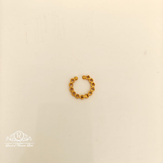 92.5 SILVER NOSE PIN-RCP200