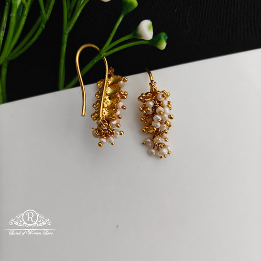 92.5 Silver Hook Model earrings-RCCP503