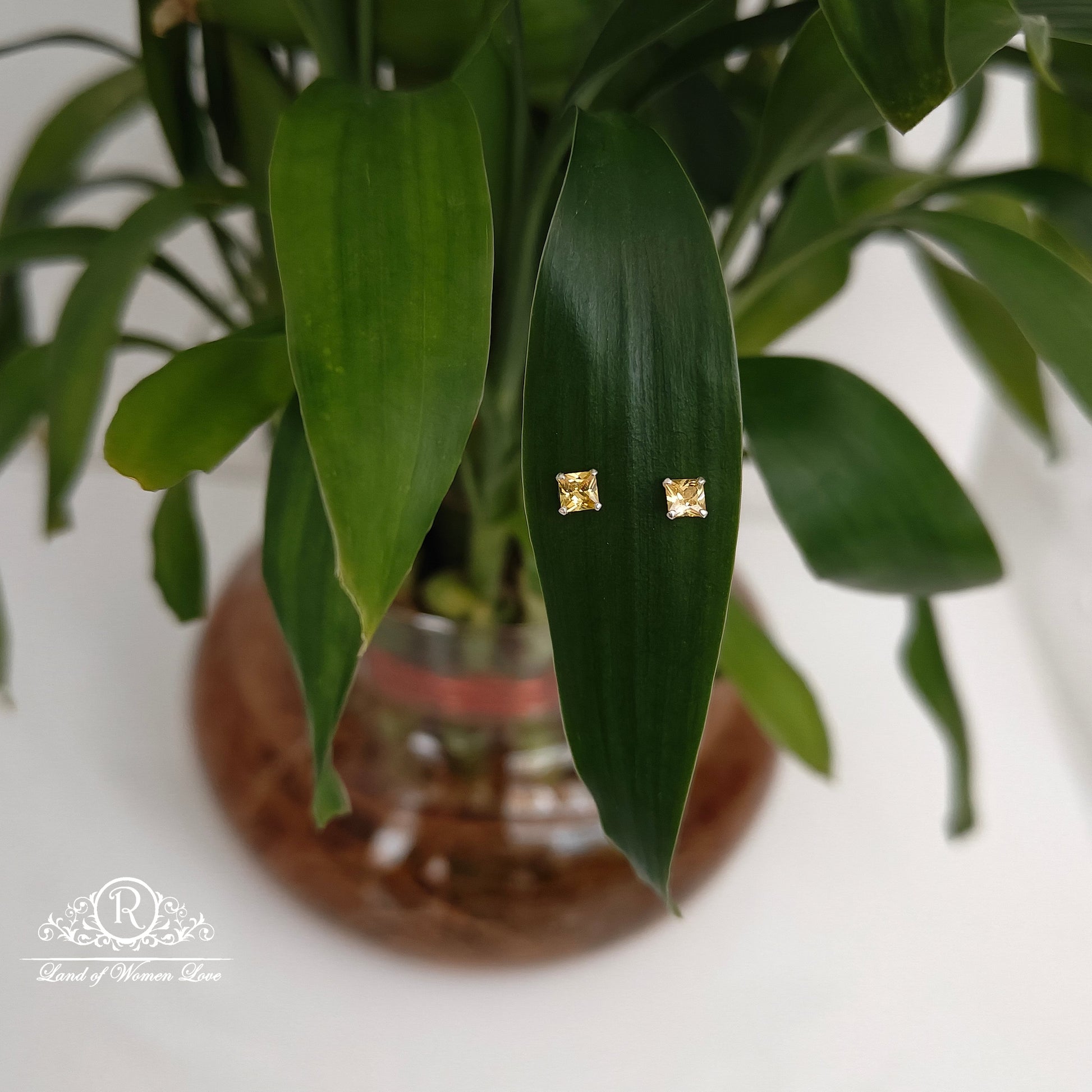 stud 92.5 silver golden yellow coloured stud earrings-rchs34-3 92.5 silver ramala jewelry / ramala collections