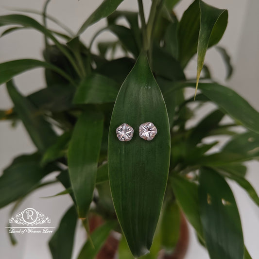 earrings 92.5 silver simple and cute earrings - rchs42 92.5 silver ramala jewelry / ramala collections