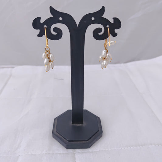 Silver gold polish hangings Earrings -RCH277