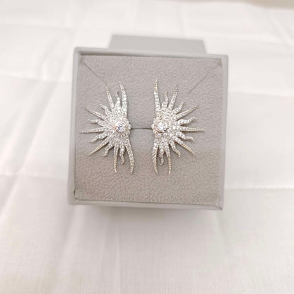 Silver CZ- White Stones Earrings-RCES59