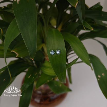 earrings 92.5 silver simple and cute earrings - rchs49-03 92.5 silver ramala jewelry / ramala collections