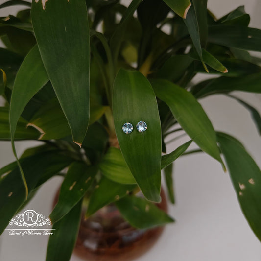 earrings 92.5 silver simple and cute earrings - rchs49-03 92.5 silver ramala jewelry / ramala collections