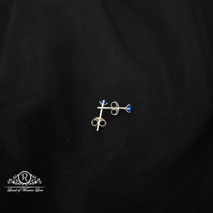 92.5 silver simple and Cute earrings - RCHS48-02