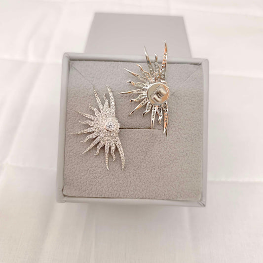 Silver CZ- White Stones Earrings-RCES59