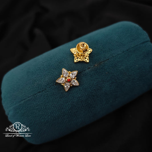 92.5 silver simple and Cute earrings - RCBG067