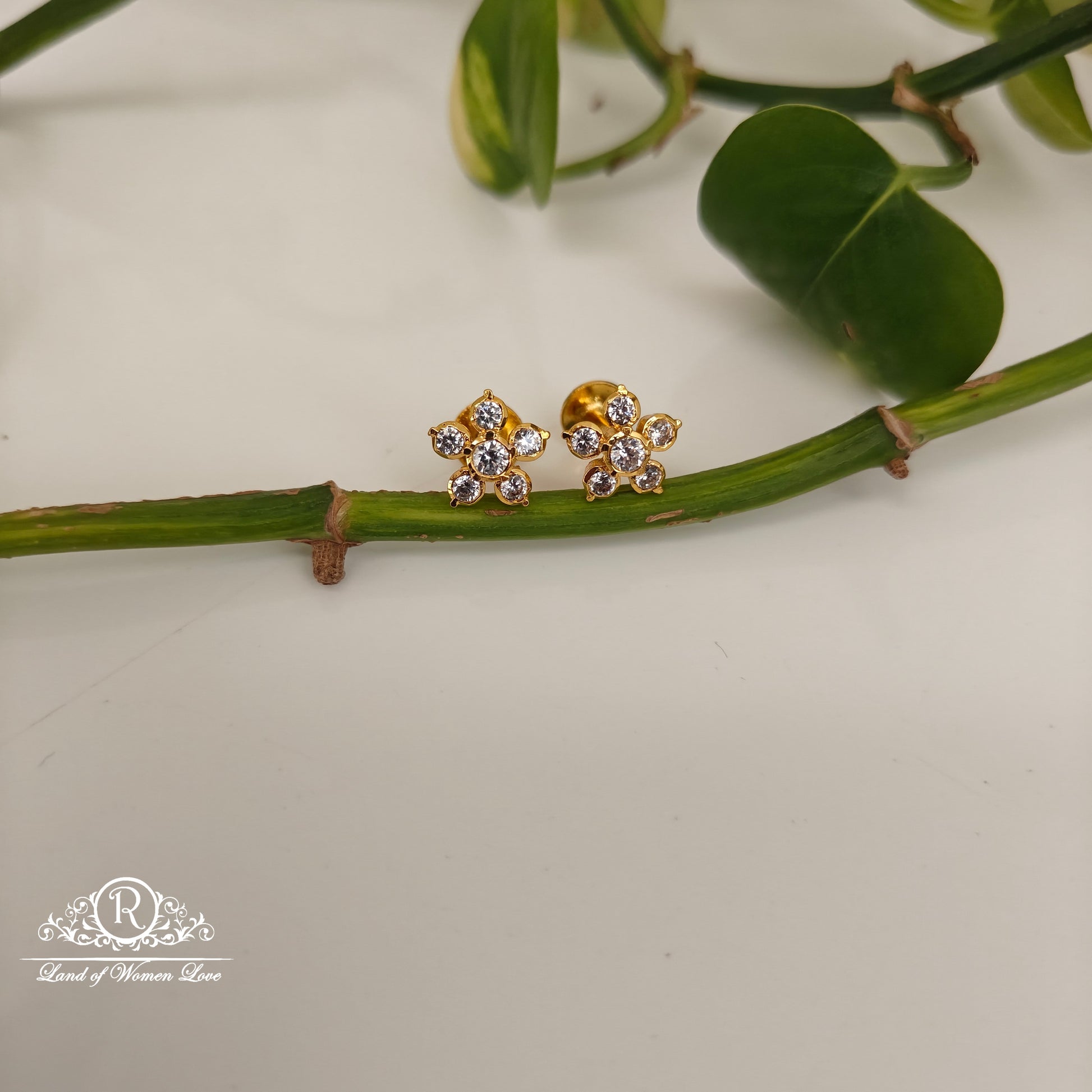 earrings 92.5 silver simple and cute earrings - rck292-1 92.5 silver ramala jewelry / ramala collections