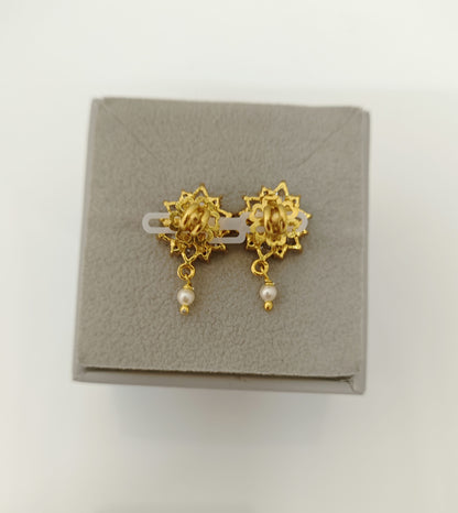 Silver Earrings-RCZ-06