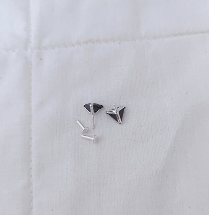 Silver earrings with nose pins - RCD207