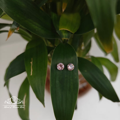 earrings 92.5 silver simple and cute earrings - rchs50-04 92.5 silver ramala jewelry / ramala collections