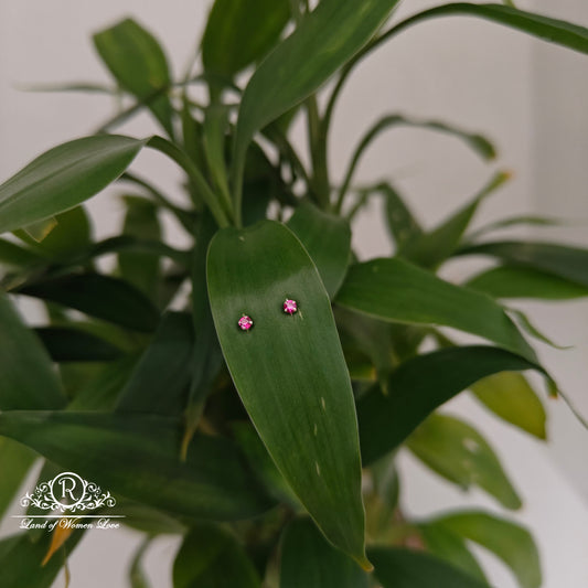 earrings 92.5 silver simple and cute earrings - rchs46 92.5 silver ramala jewelry / ramala collections