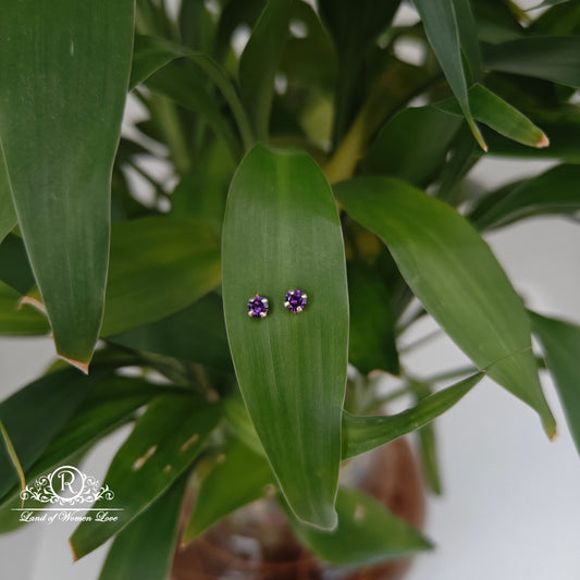 earrings 92.5 silver simple and cute earrings - rchs48-03 92.5 silver ramala jewelry / ramala collections