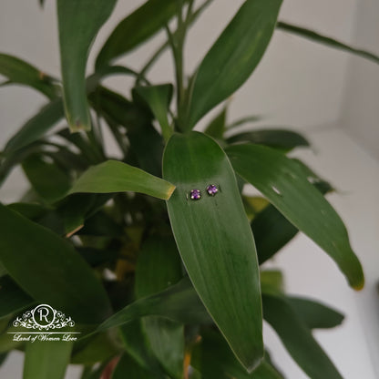 earrings 92.5 silver simple and cute earrings - rchs47-02 92.5 silver ramala jewelry / ramala collections