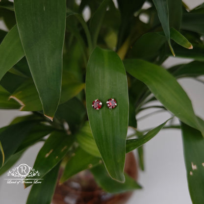 earrings 92.5 silver simple and cute earrings - rchs49-01 92.5 silver ramala jewelry / ramala collections